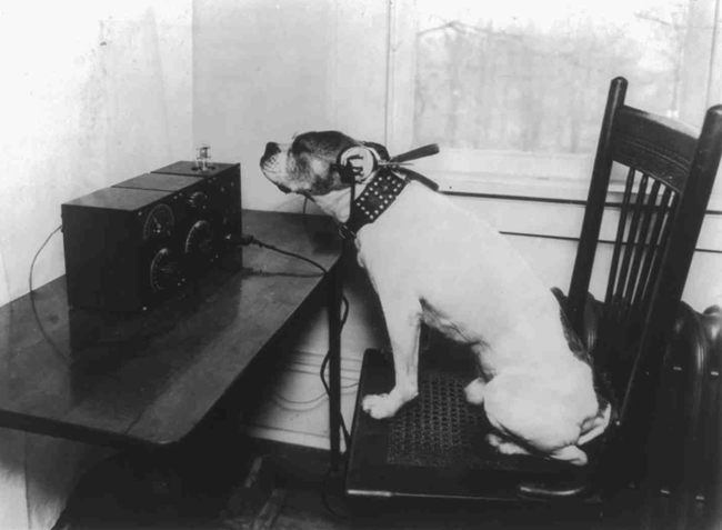 Dog w radio headphones, 1922
