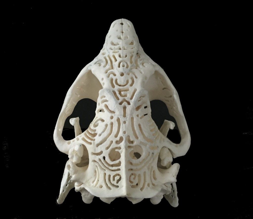 SkullsOut
